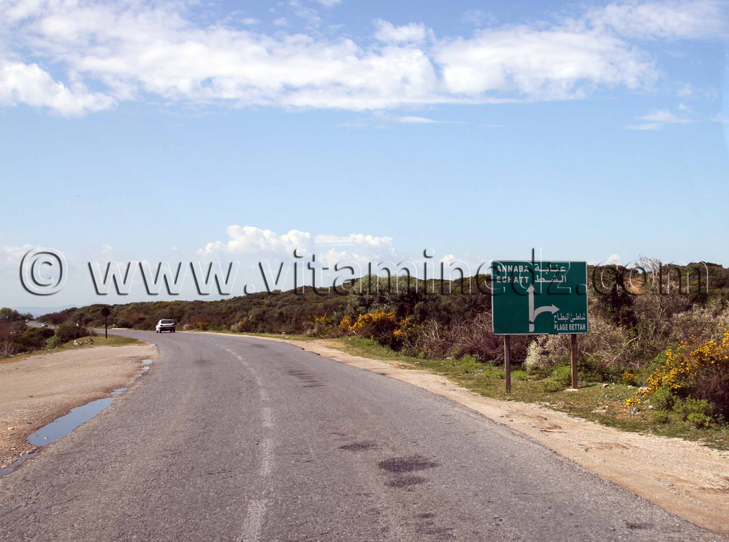 Route vers la plage Bettah, Commune de Benmhidi, wilaya de Tarf