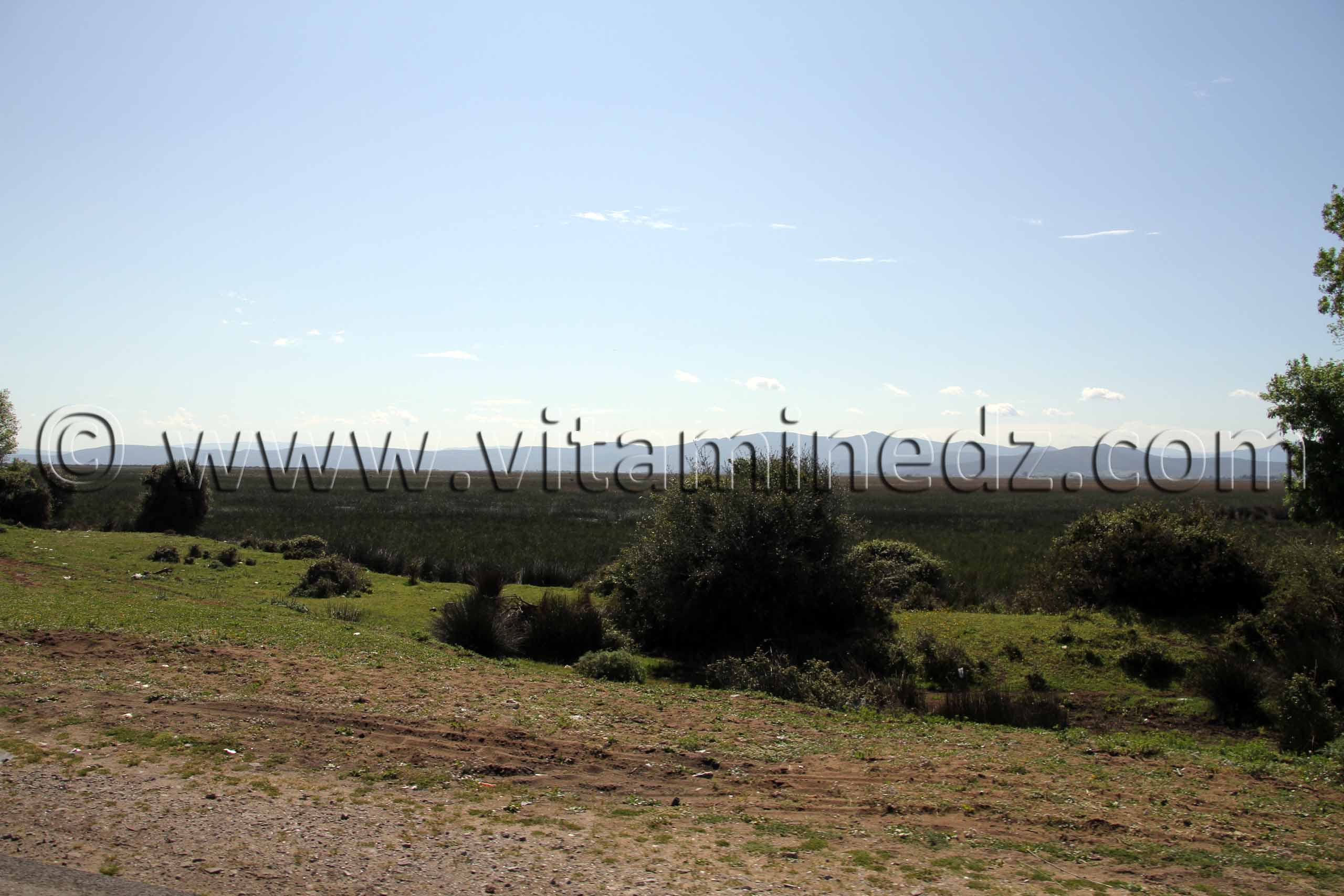 Commune de Benmhidi, wilaya de Tarf