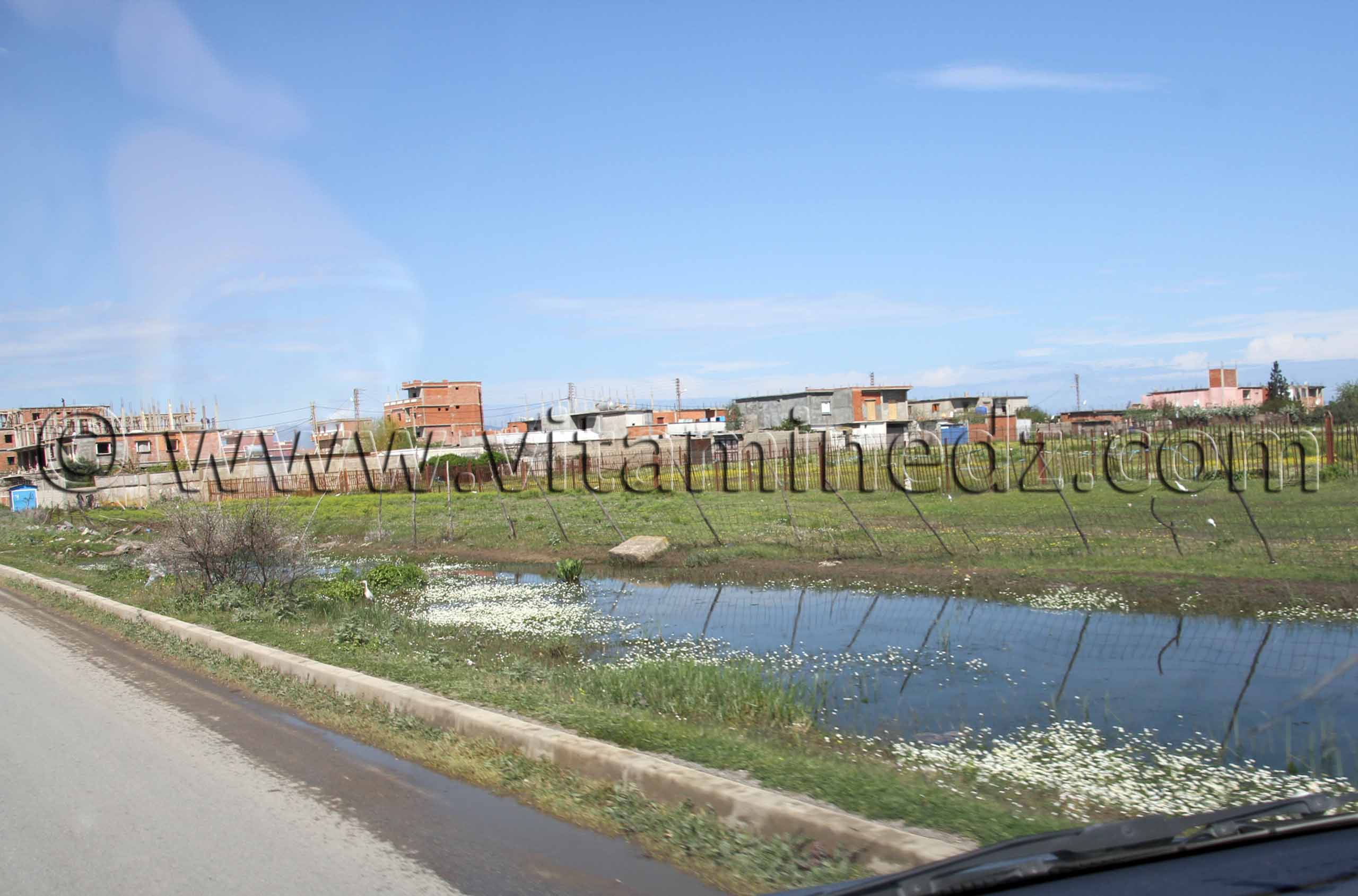 Commune de Benmhidi, wilaya de Tarf