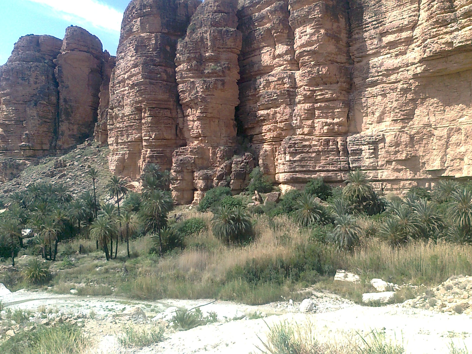 Romane;un havre de biodiversité !