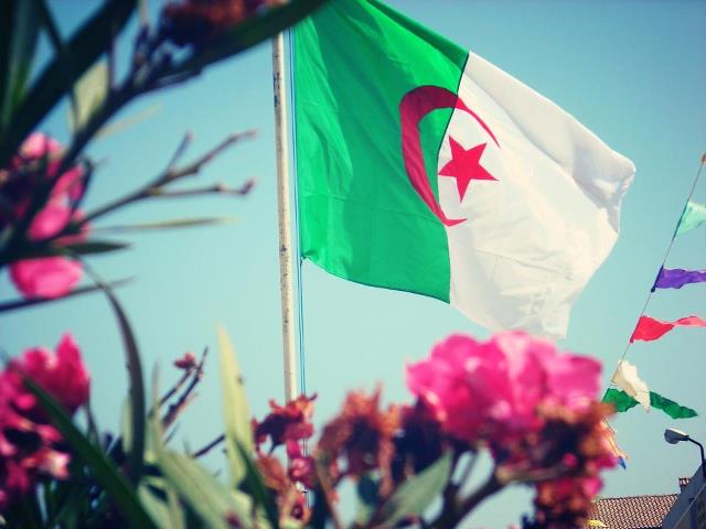 وردة الورود