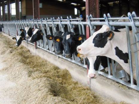 Journée d'information sur les produits agricoles à Constantine:  Assurer la sécurité alimentaire