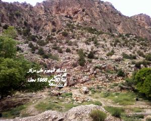 si salah zidani    sisalahzidani@hotmail.fr