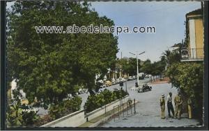 Affreville (Khemis   Méliana)  - Avenue Monseigneur Affre