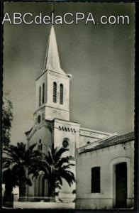 Aïn el Arba  - L'Eglise et les Palmiers