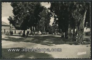 Aïn Oussera   (Paul Cazelles)  - L'allée principale