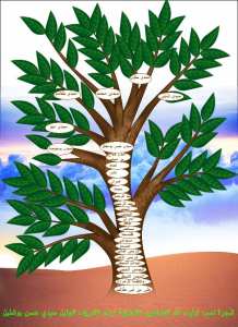 شجرة نسب أولياء الله الصالحين الشلايلية