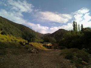 CHEMIN VERS EL MA LAKHEL ***KANTINA***