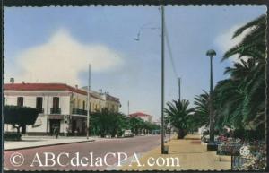 Amria (El) (Lourmel)  - Avenue principale