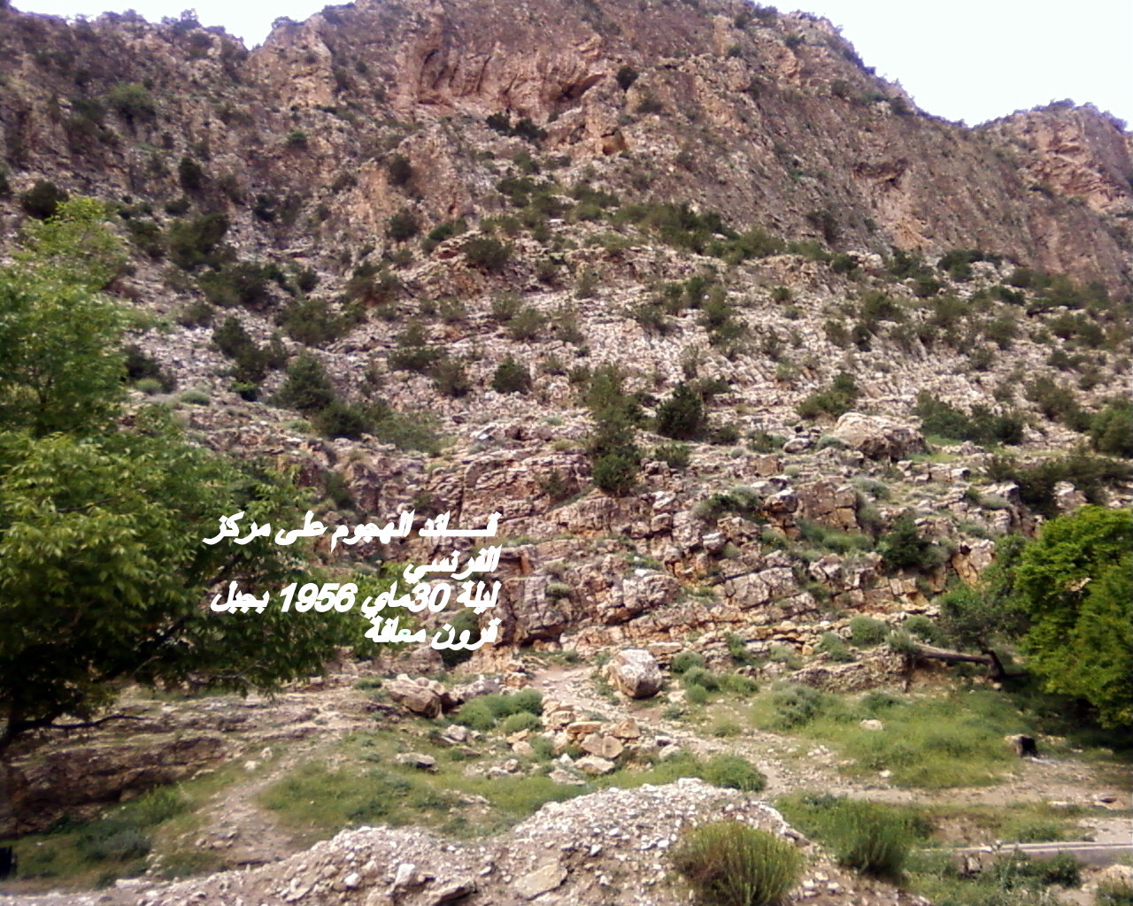 si salah zidani    sisalahzidani@hotmail.fr