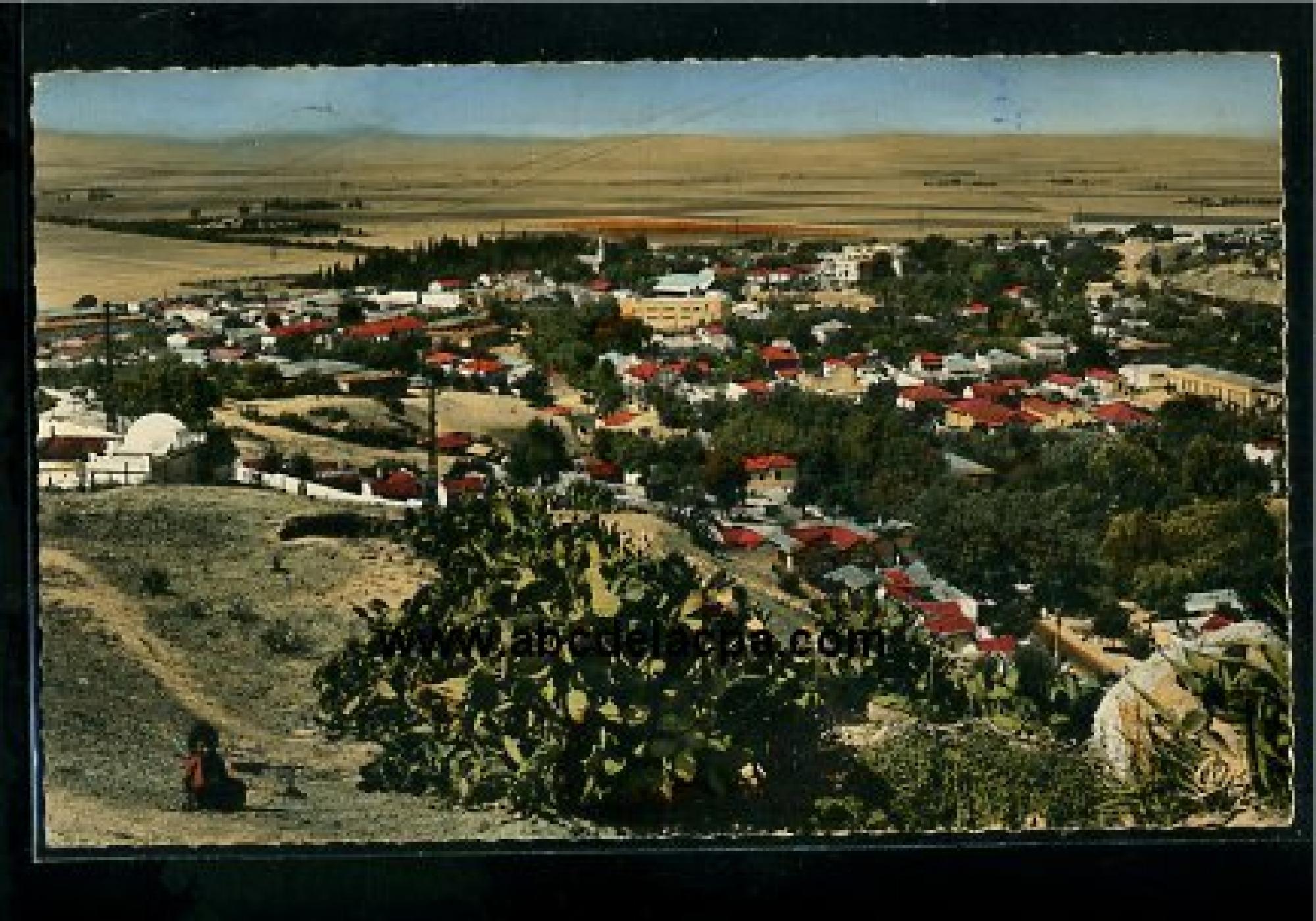 Affreville (Khemis   Méliana)  - Vue générale