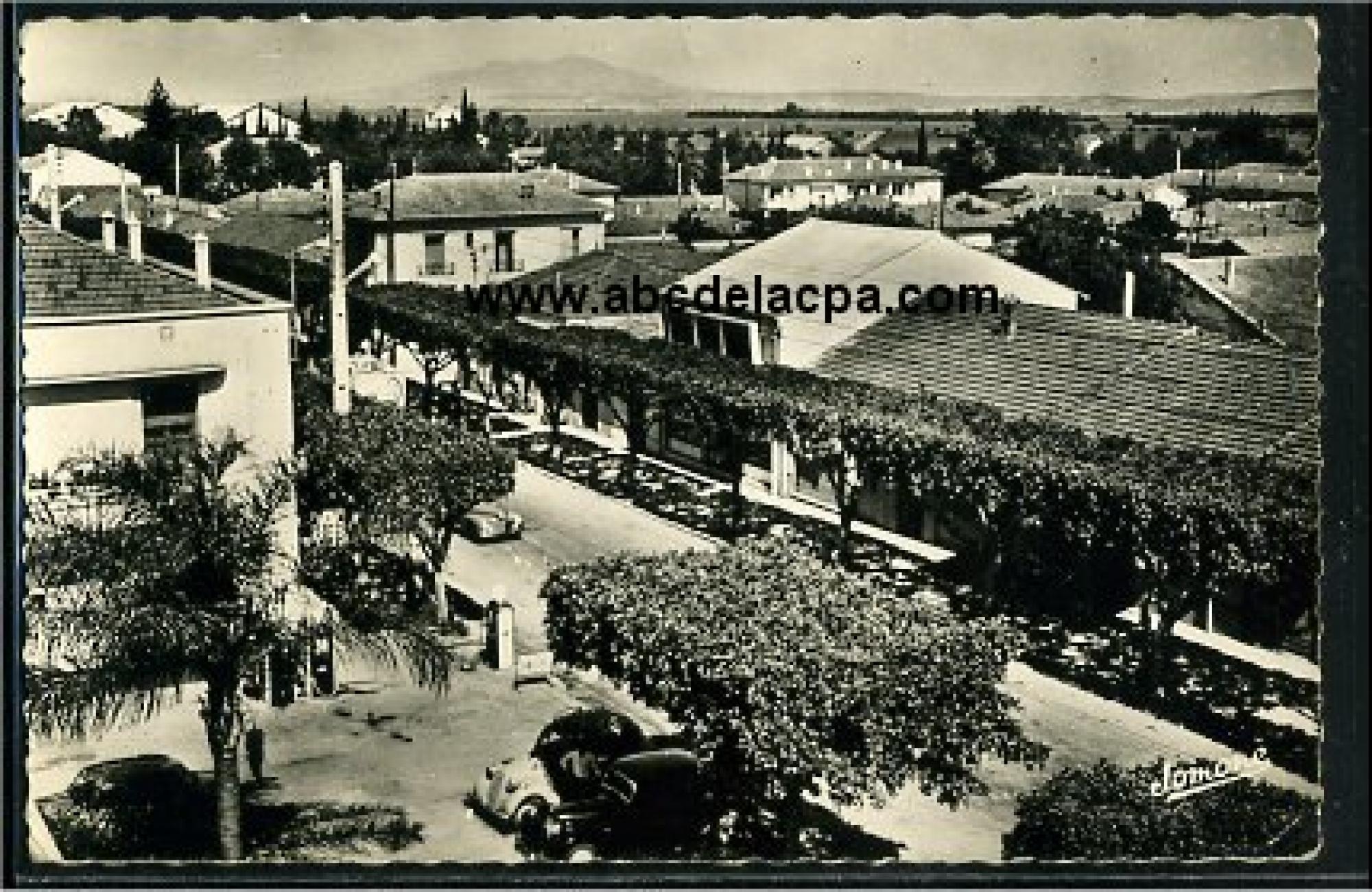 Affroun (El)  - Rue principale - Route d'Oran