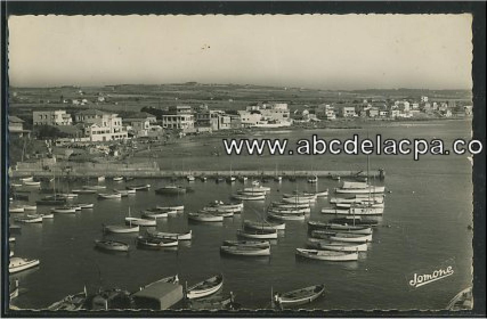 Aïn Benian   (Guyotville)  - Le Port et la Madrague