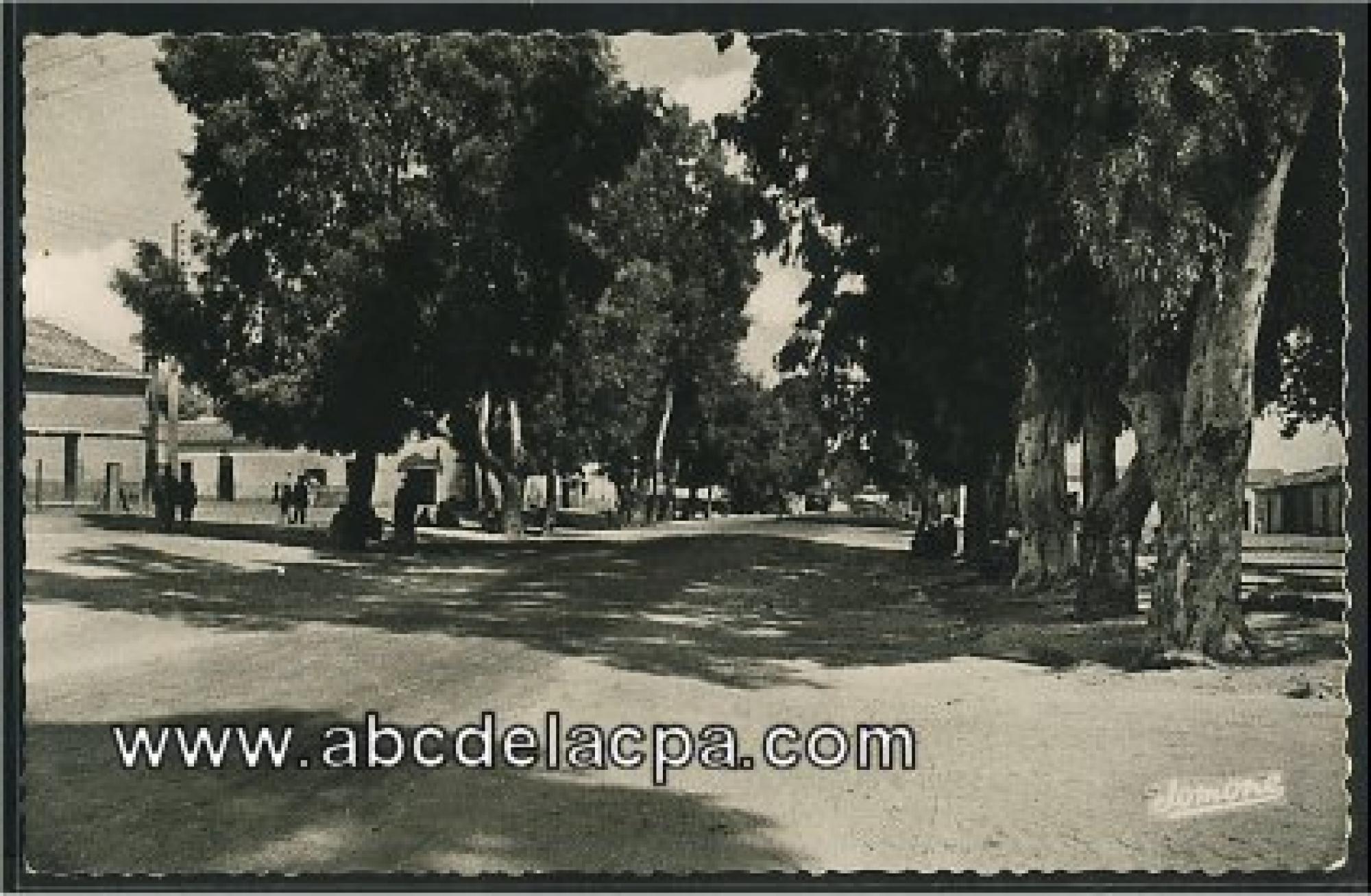 Aïn Oussera   (Paul Cazelles)  - L'allée principale