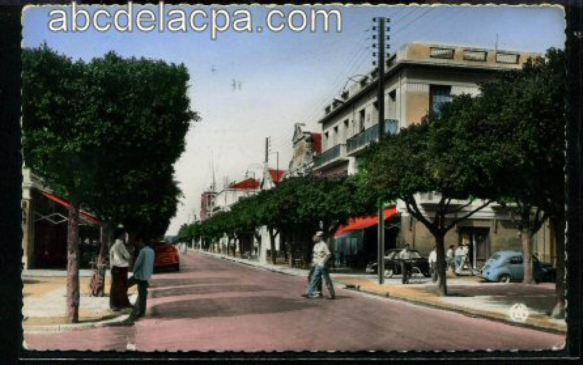 Aïn   Témouchent  - Le boulevard National