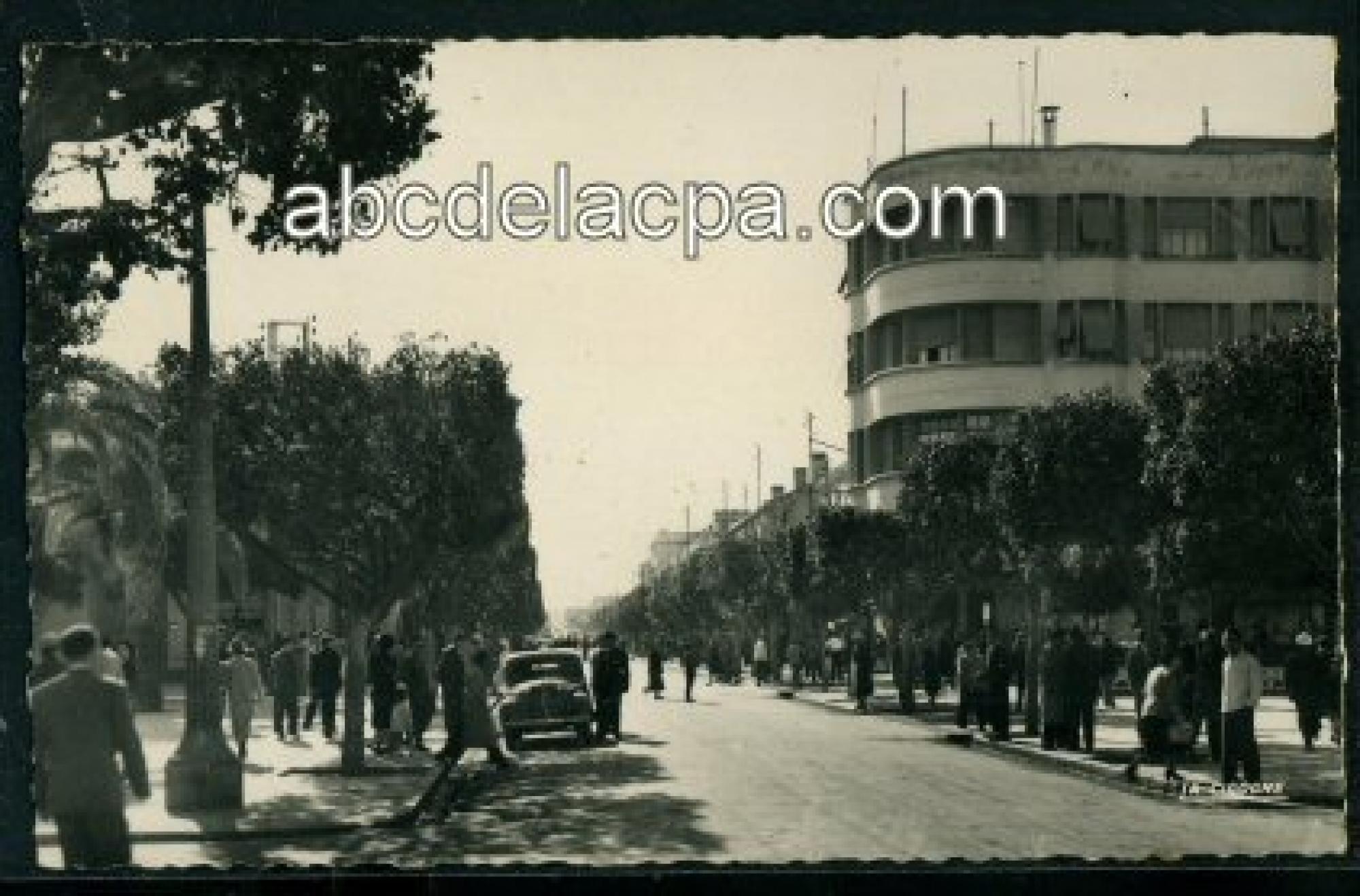 Aïn   Témouchent  - Boulevard national