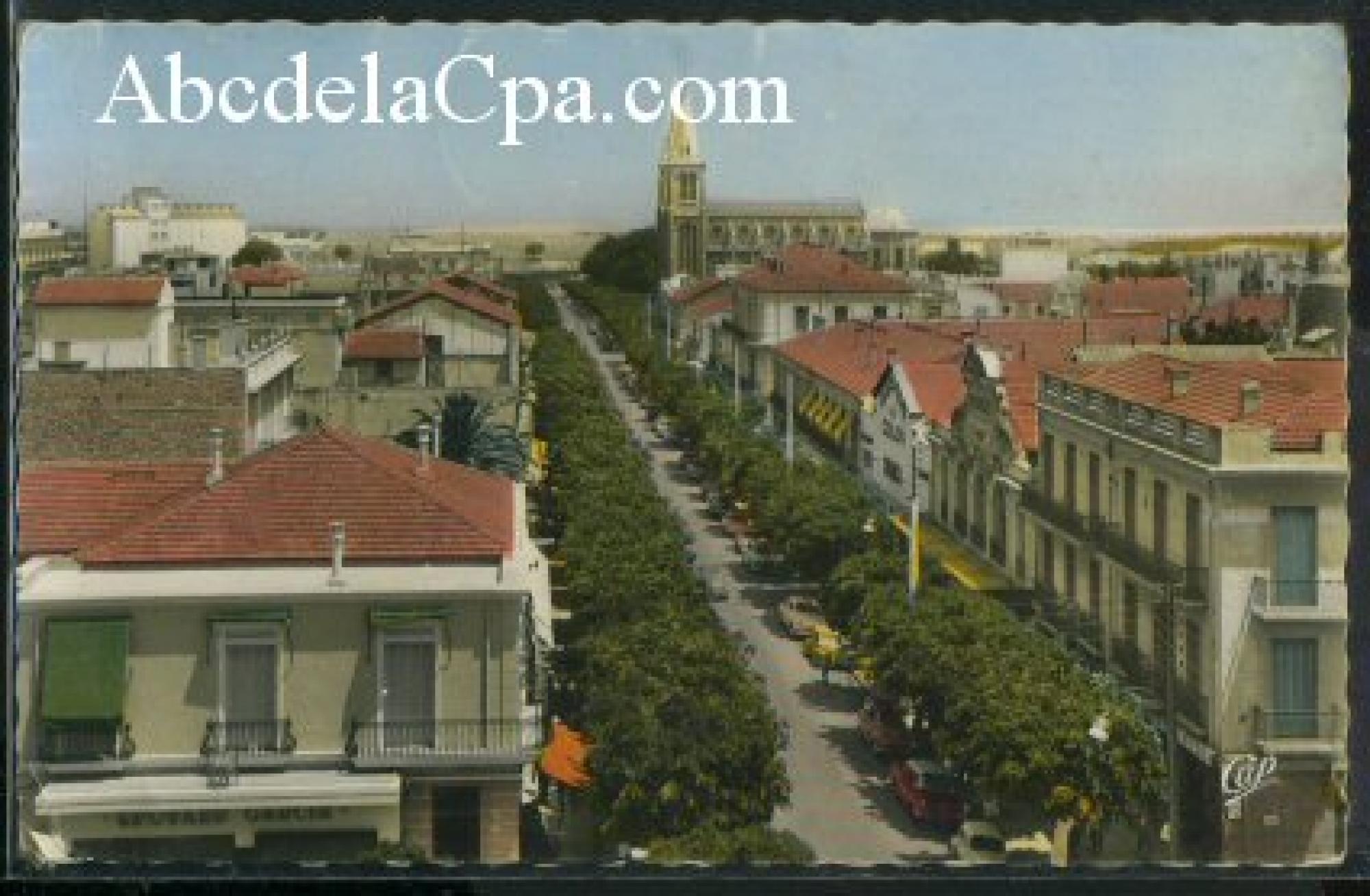 Aïn   Témouchent  - Boulevard National