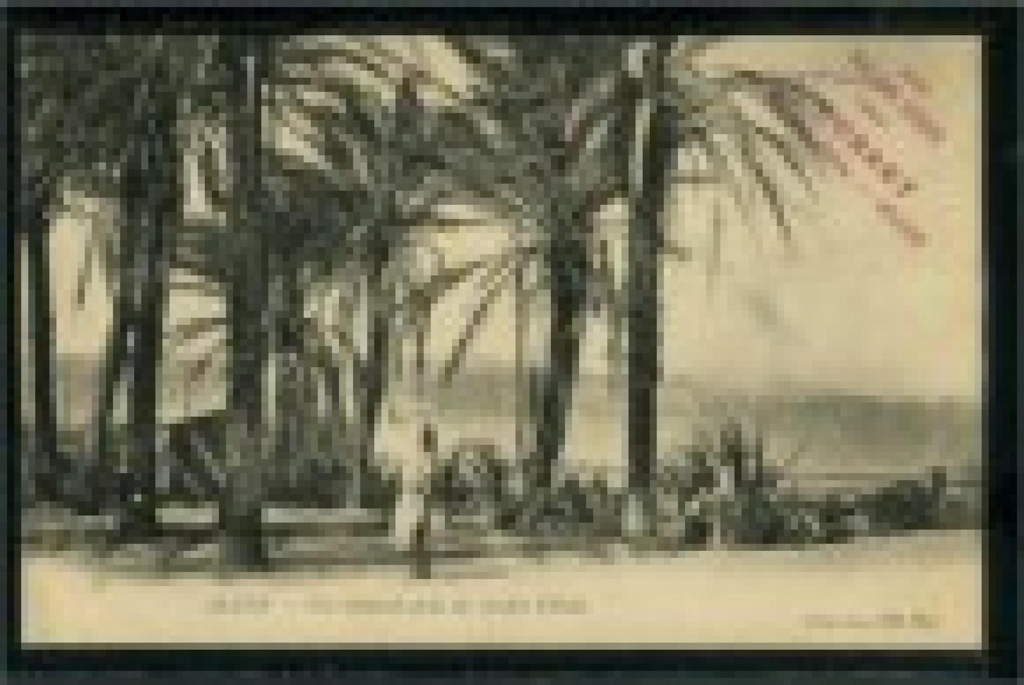 Alger - Bâtiments  - Carte publicitaire - Bijouterie Aux 50000 bijoux