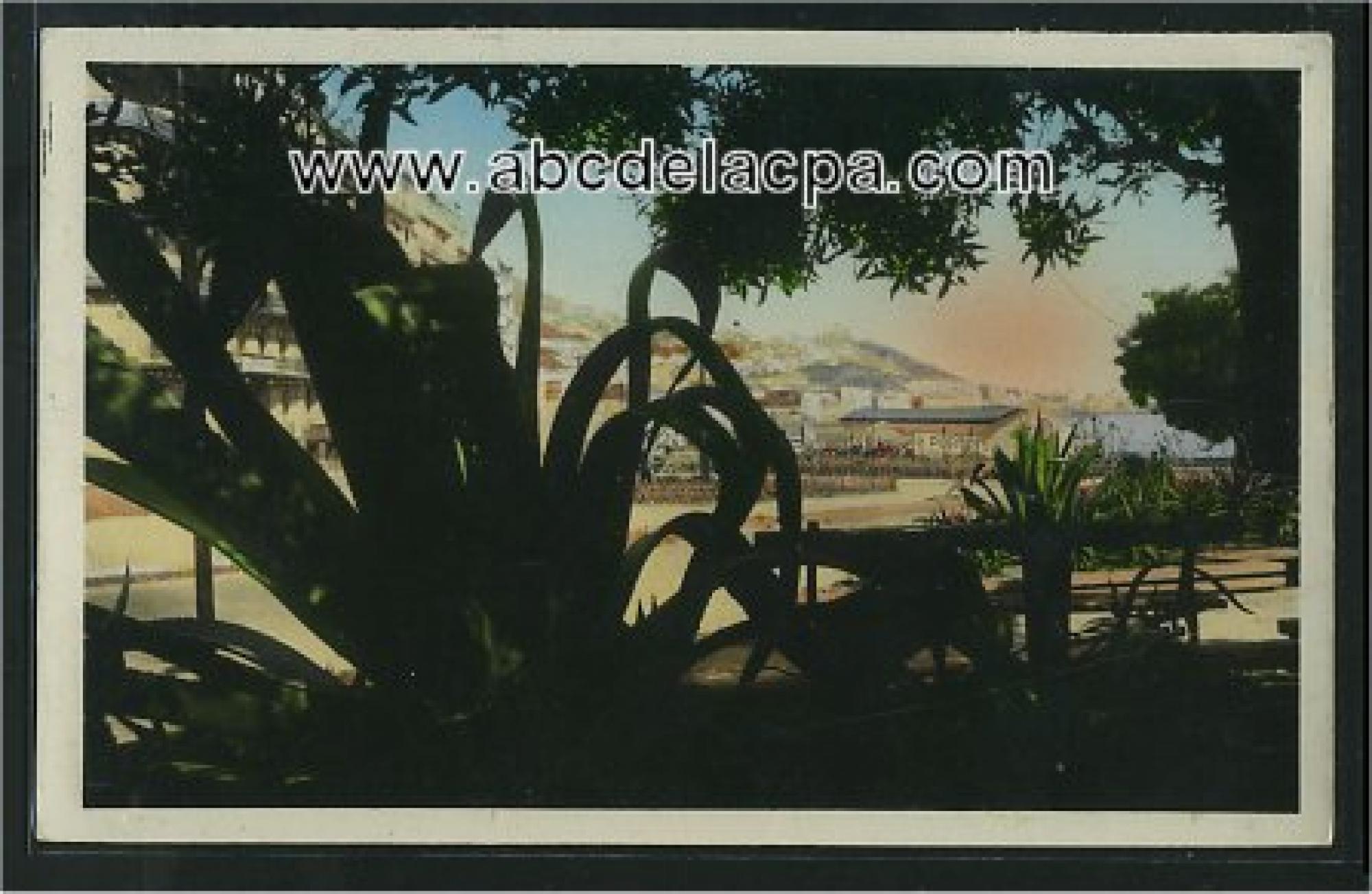 Alger -      Bâtiments  - Notre Dame d'Afrique prise du boulevard Guillemin