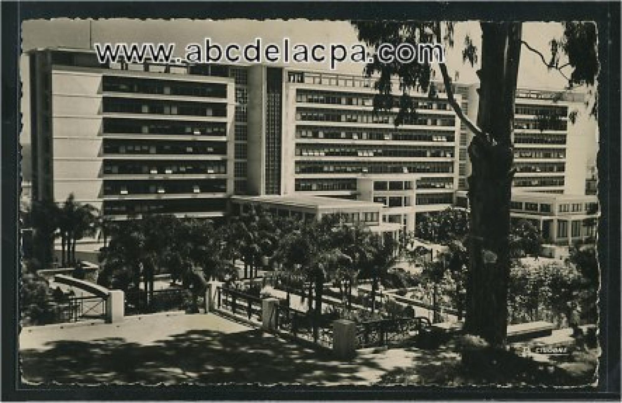 Alger -      Bâtiments  - Le gouvernement général et le jardin vus du côté sud