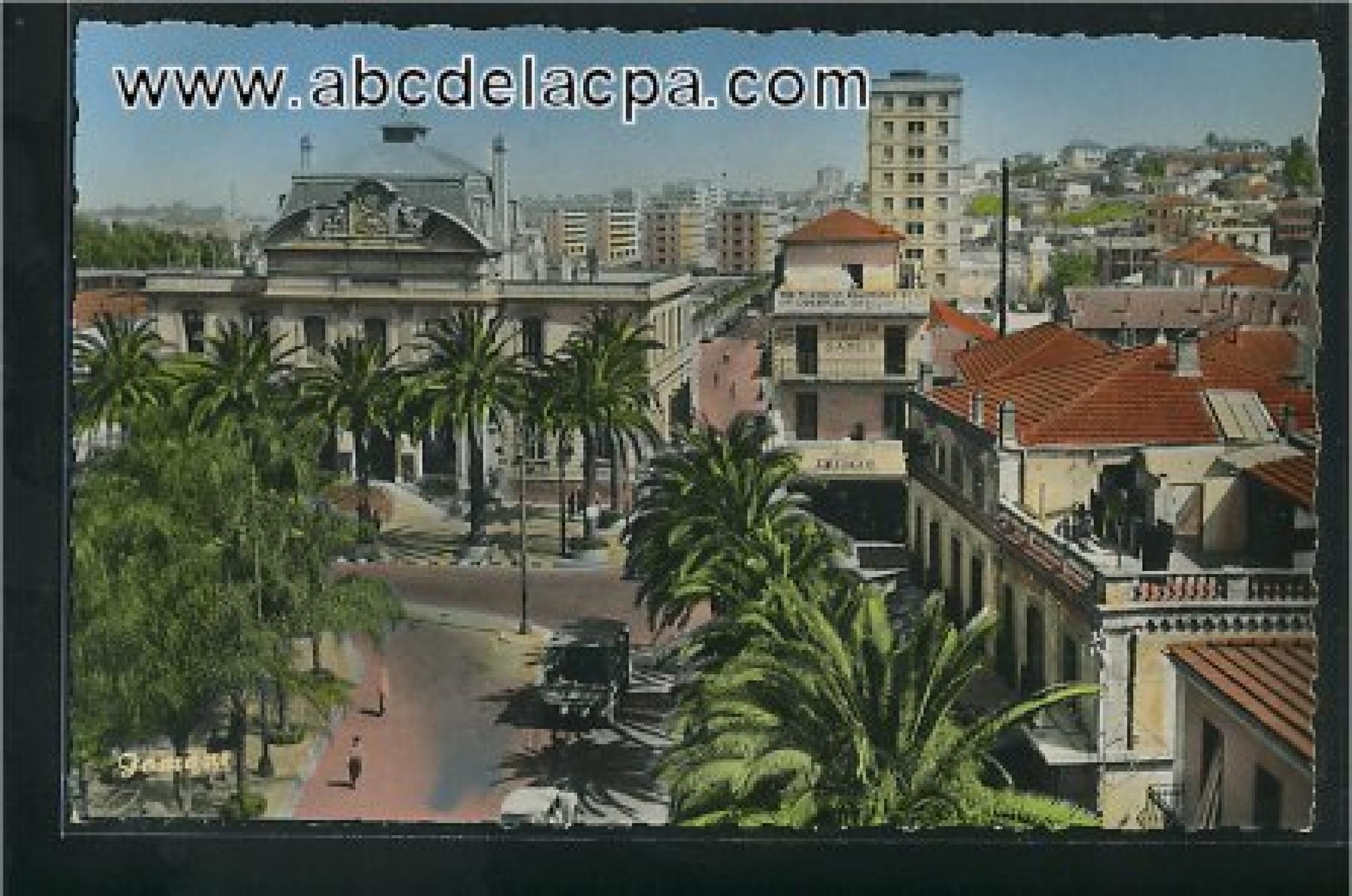 Alger -      Bâtiments  - La mairie et vue générale