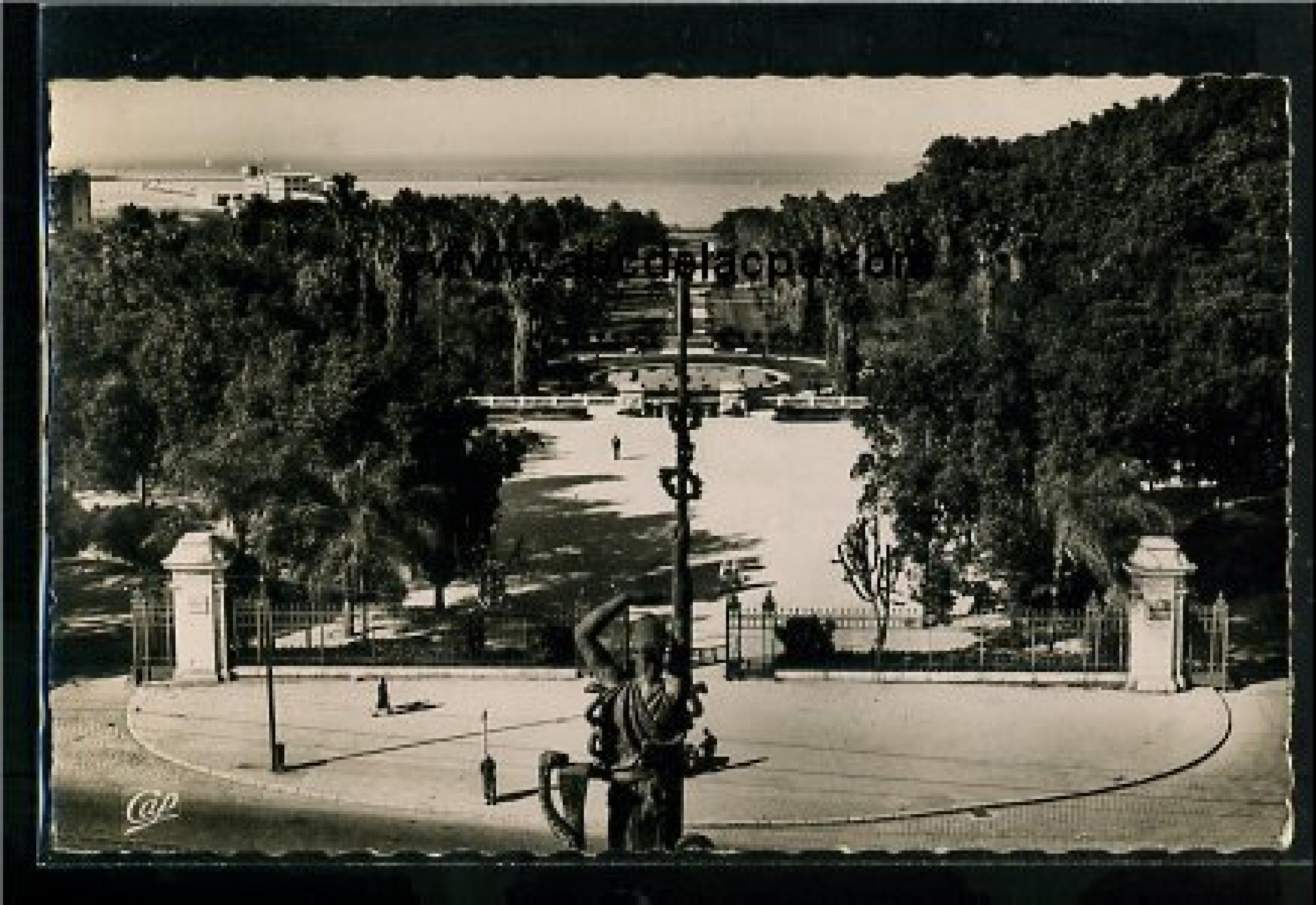 Alger - Rues  - Le Jardin d'essai