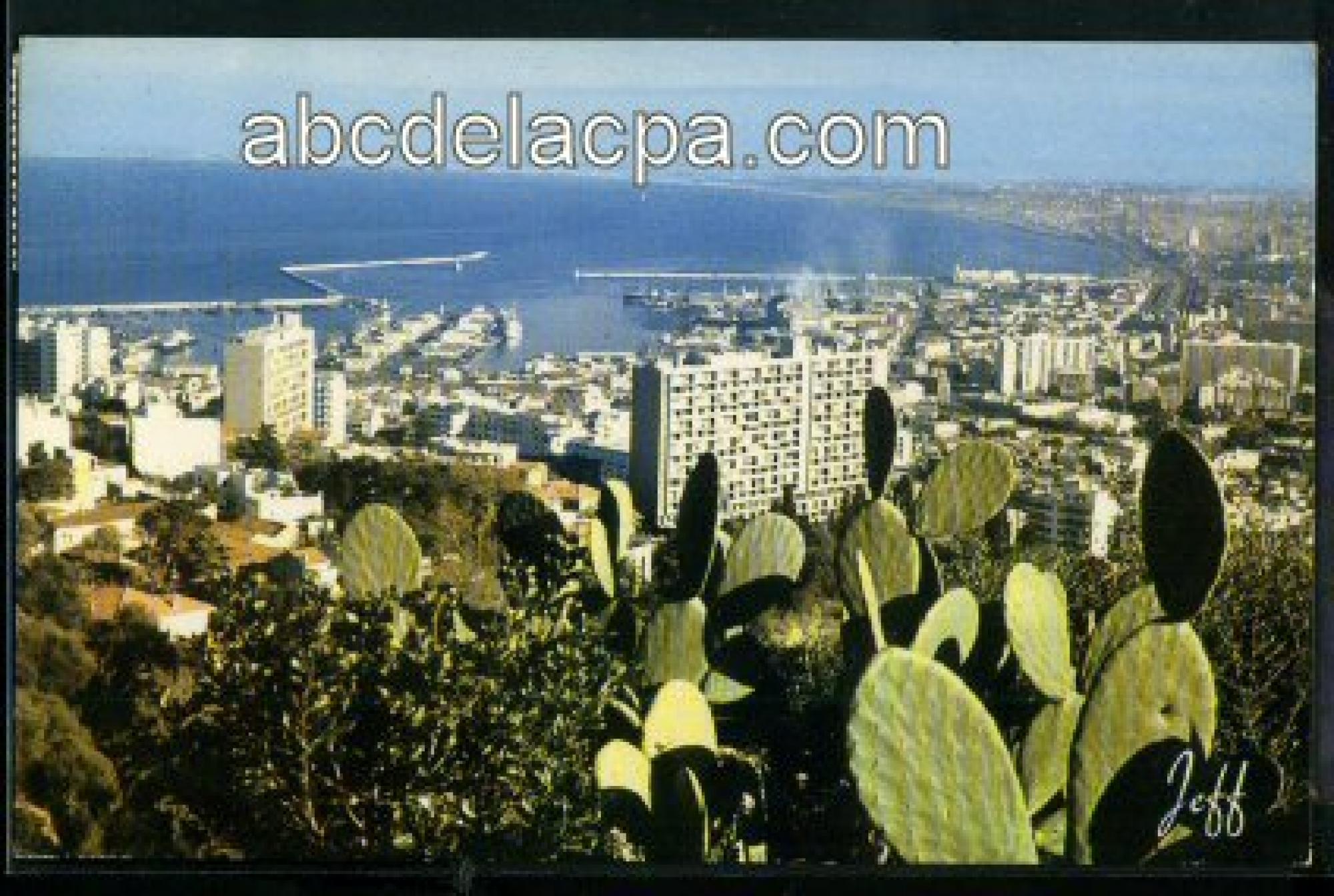 Alger - Vue      Générale  - Alger - Panorama