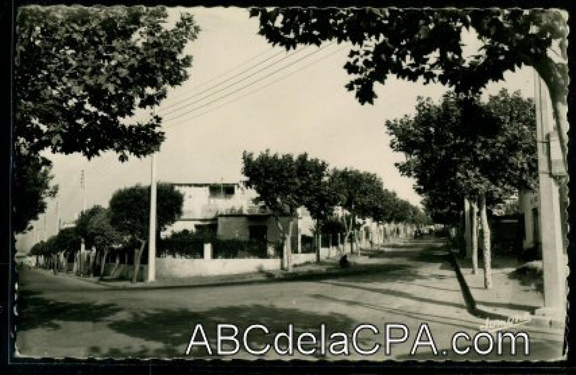 Alger -      Hussein-Dey  - Quartier Léveilley - Rue Courly