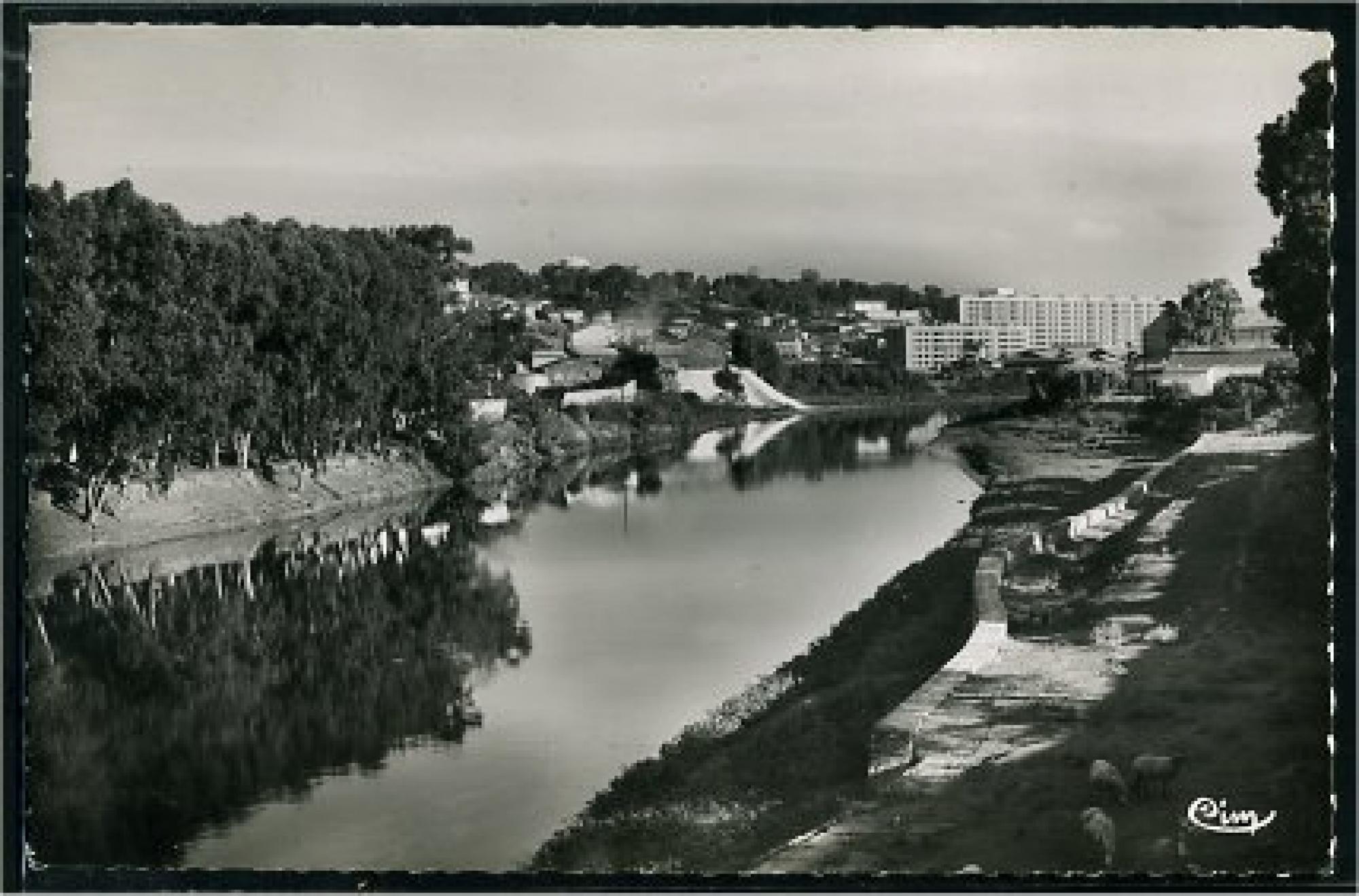 Alger - Maison      Carrée  - Les bords de l'Harrach et les bâtiments H.B.M.