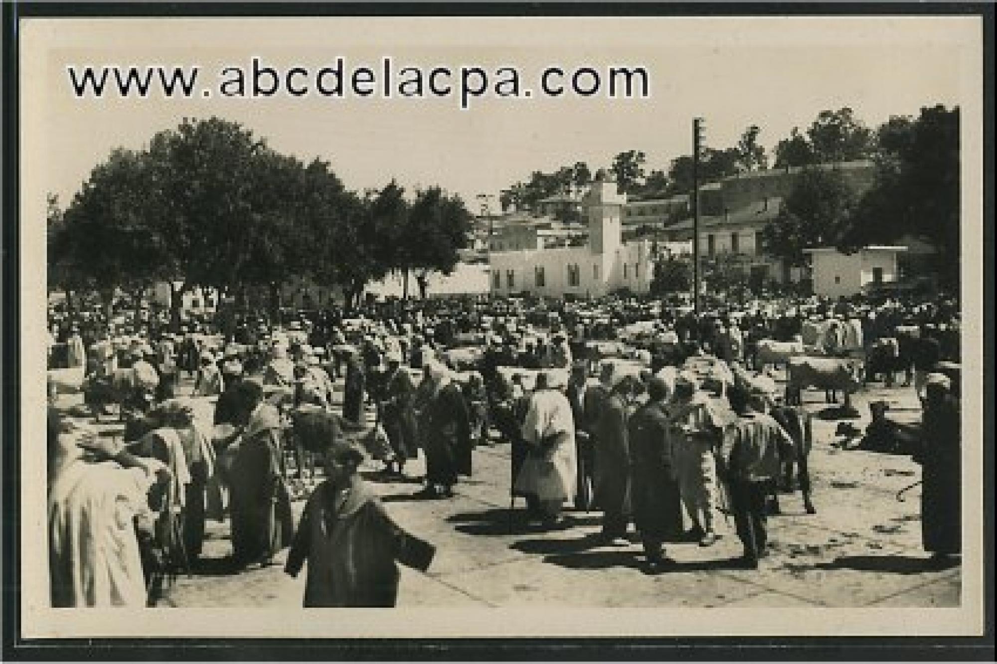 Alger - Maison      Carrée  - Le marché aux bestiaux