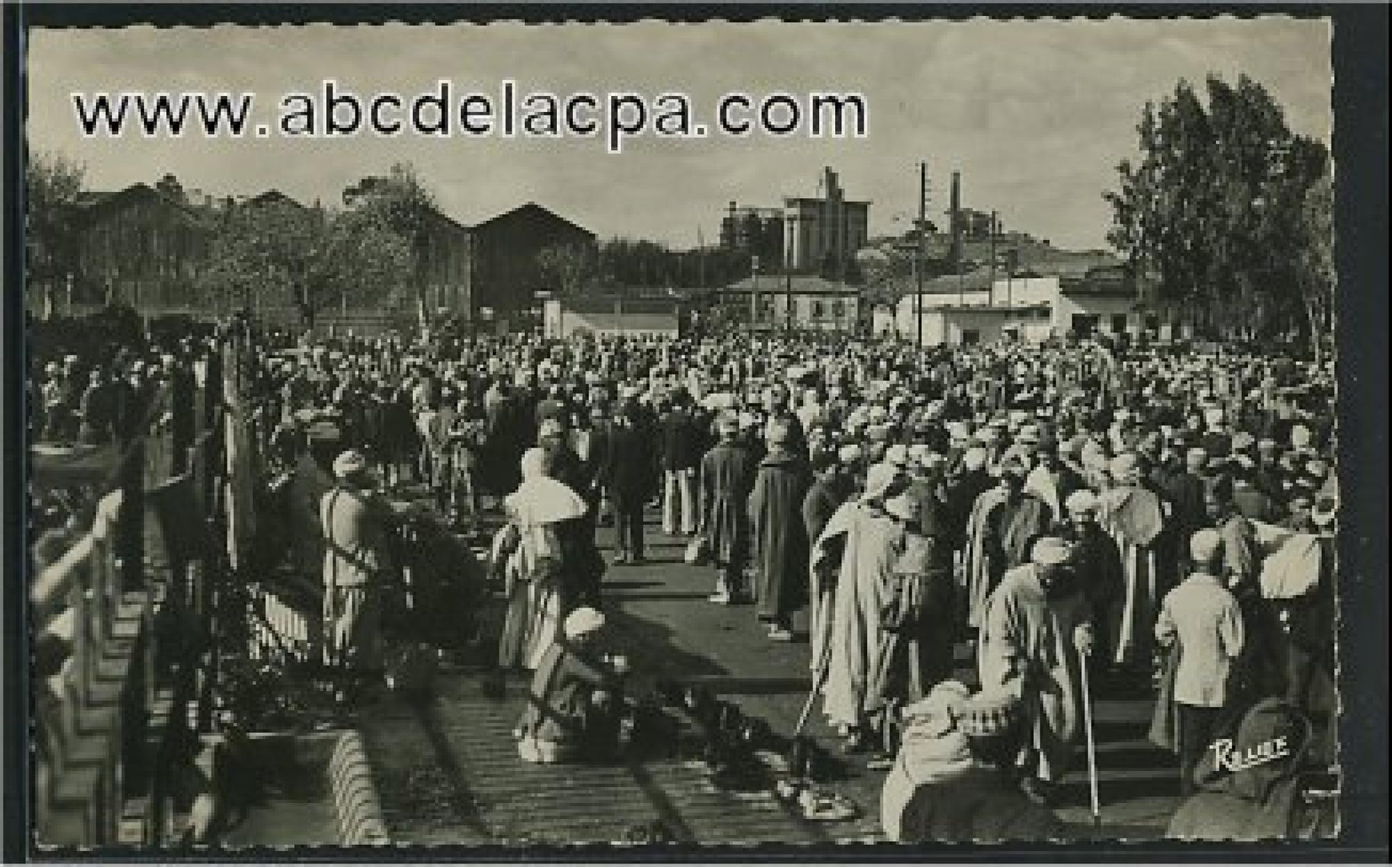 Alger - Maison      Carrée  - Marché arabe
