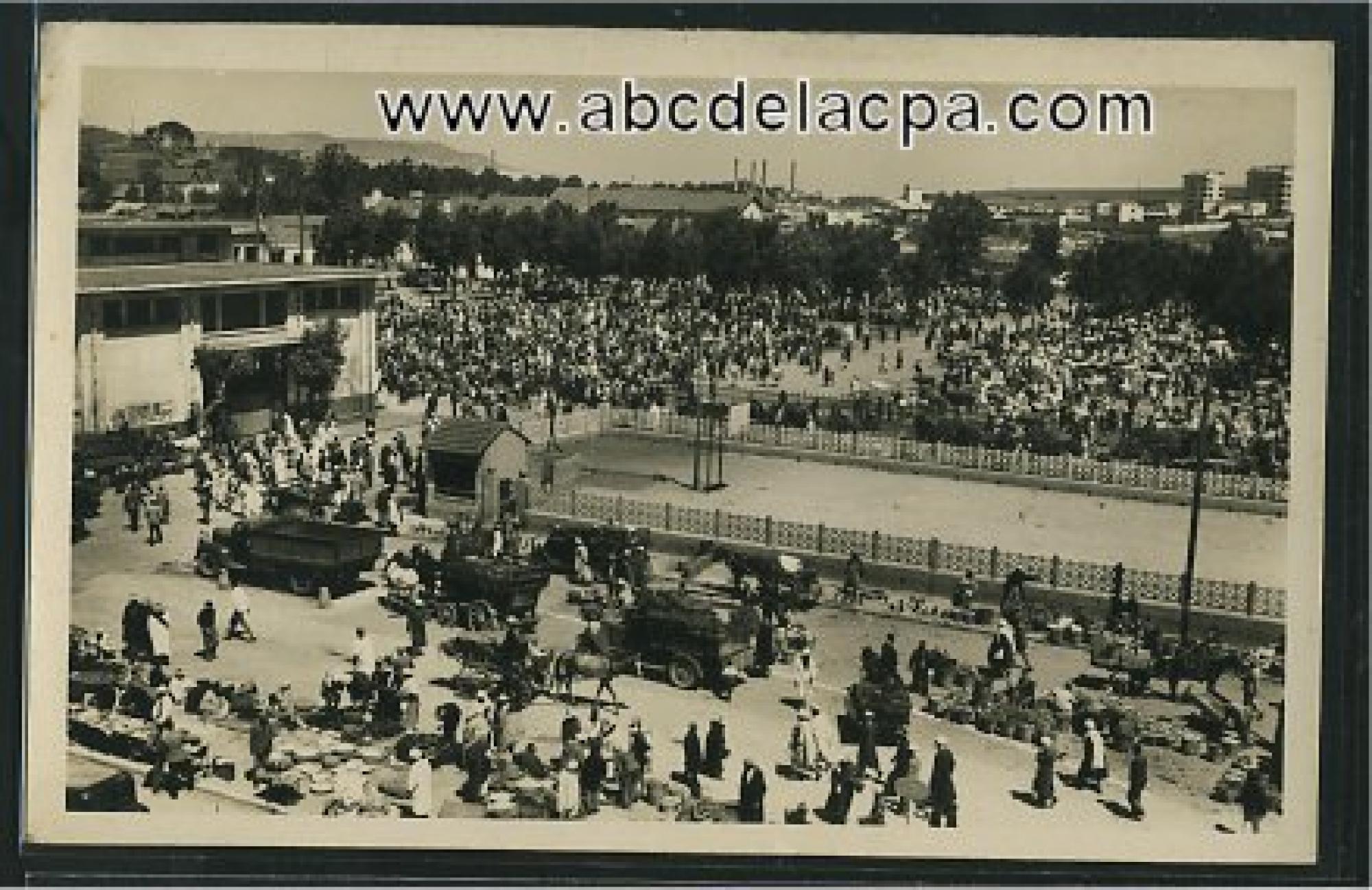 Alger - Maison      Carrée  - Le marché