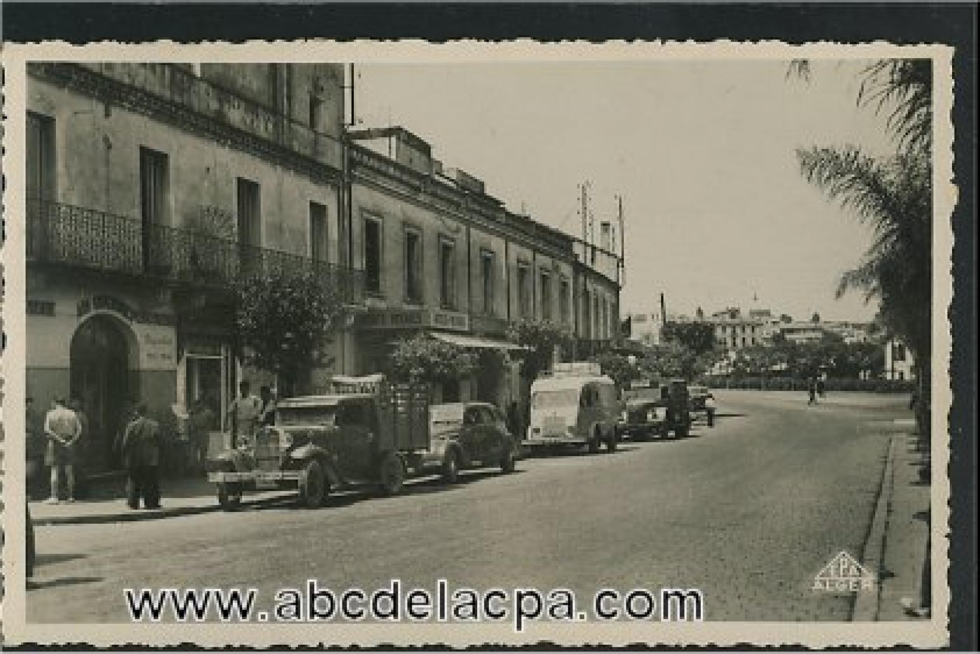 Alger - Maison      Carrée  - Avenue d'Alger