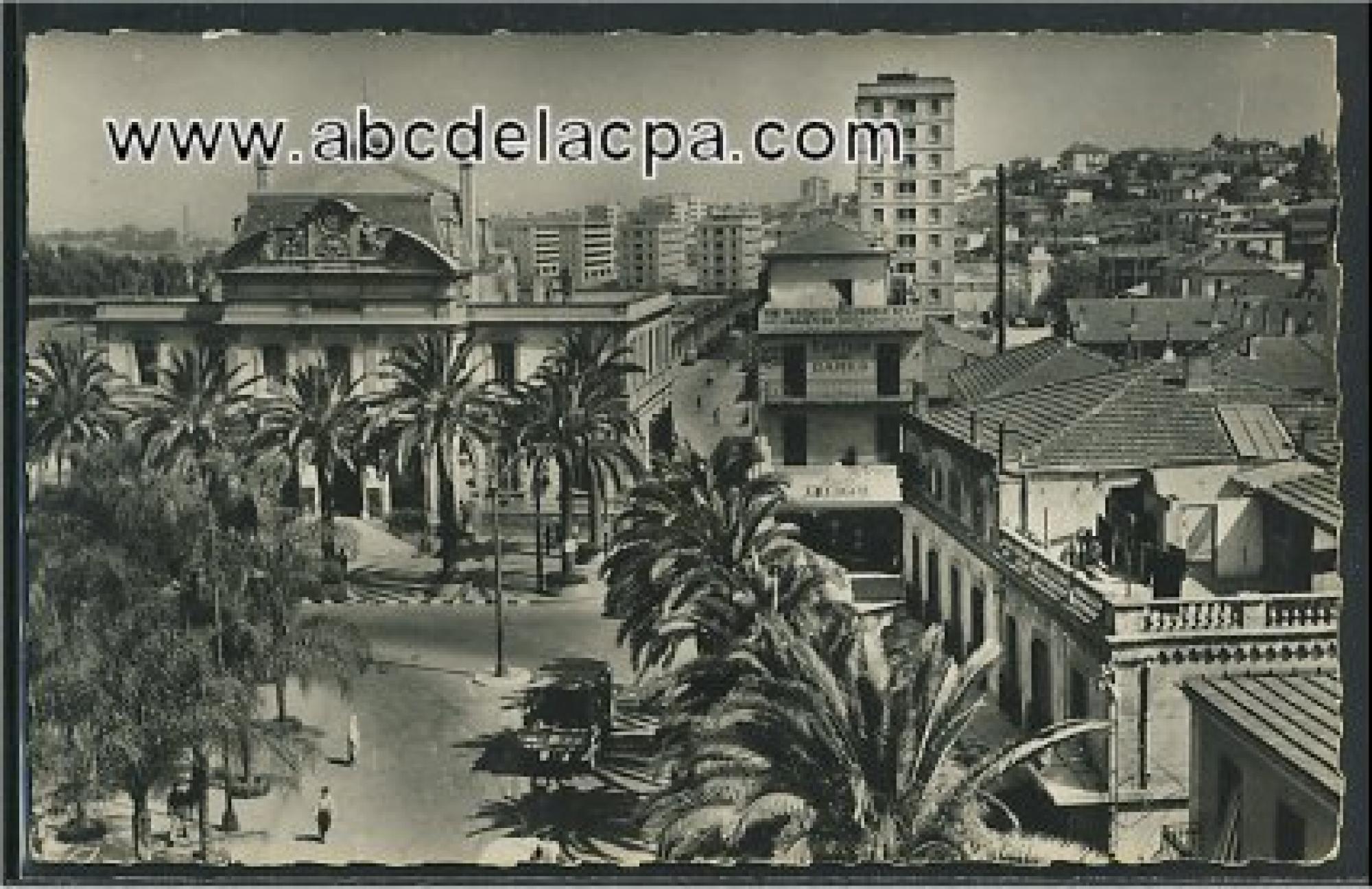 Alger - Maison      Carrée  - La mairie et vue générale