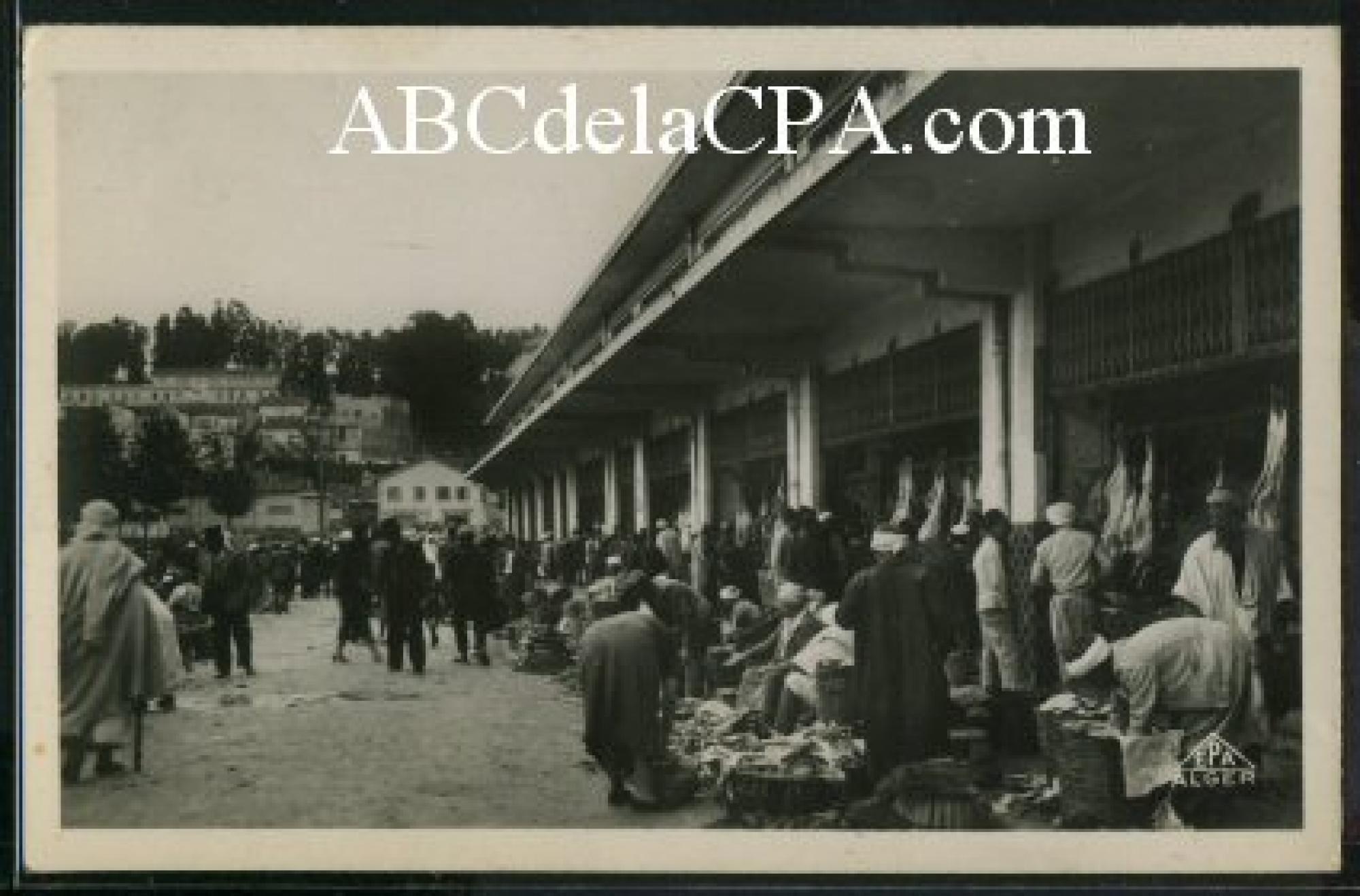 Alger - Maison      Carrée  - Le Hall