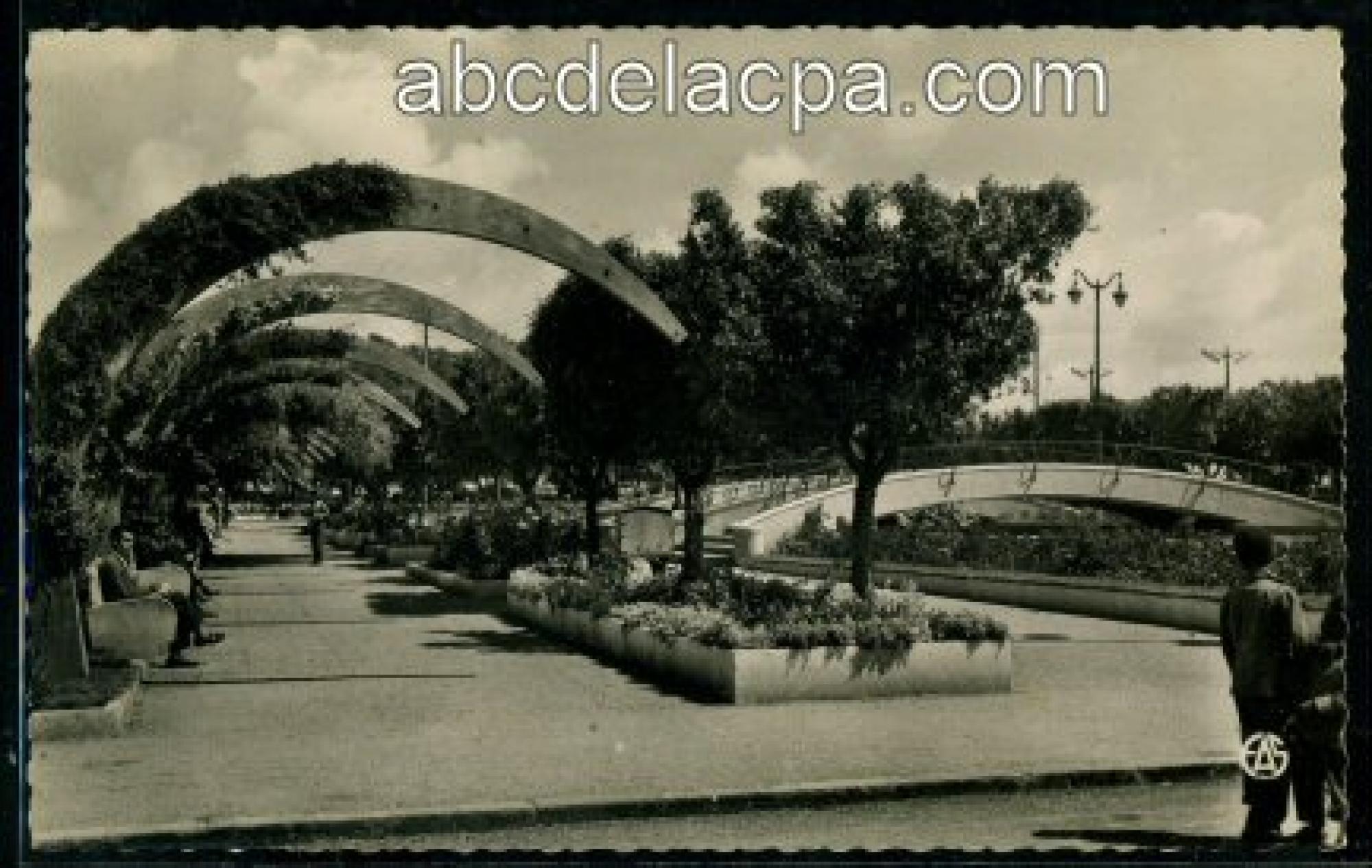 Amria (El) (Lourmel)  - Une allée du square