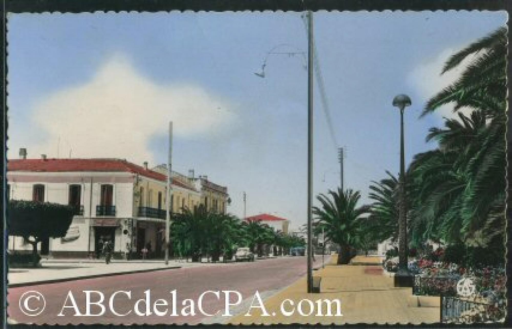 Amria (El) (Lourmel)  - Avenue principale