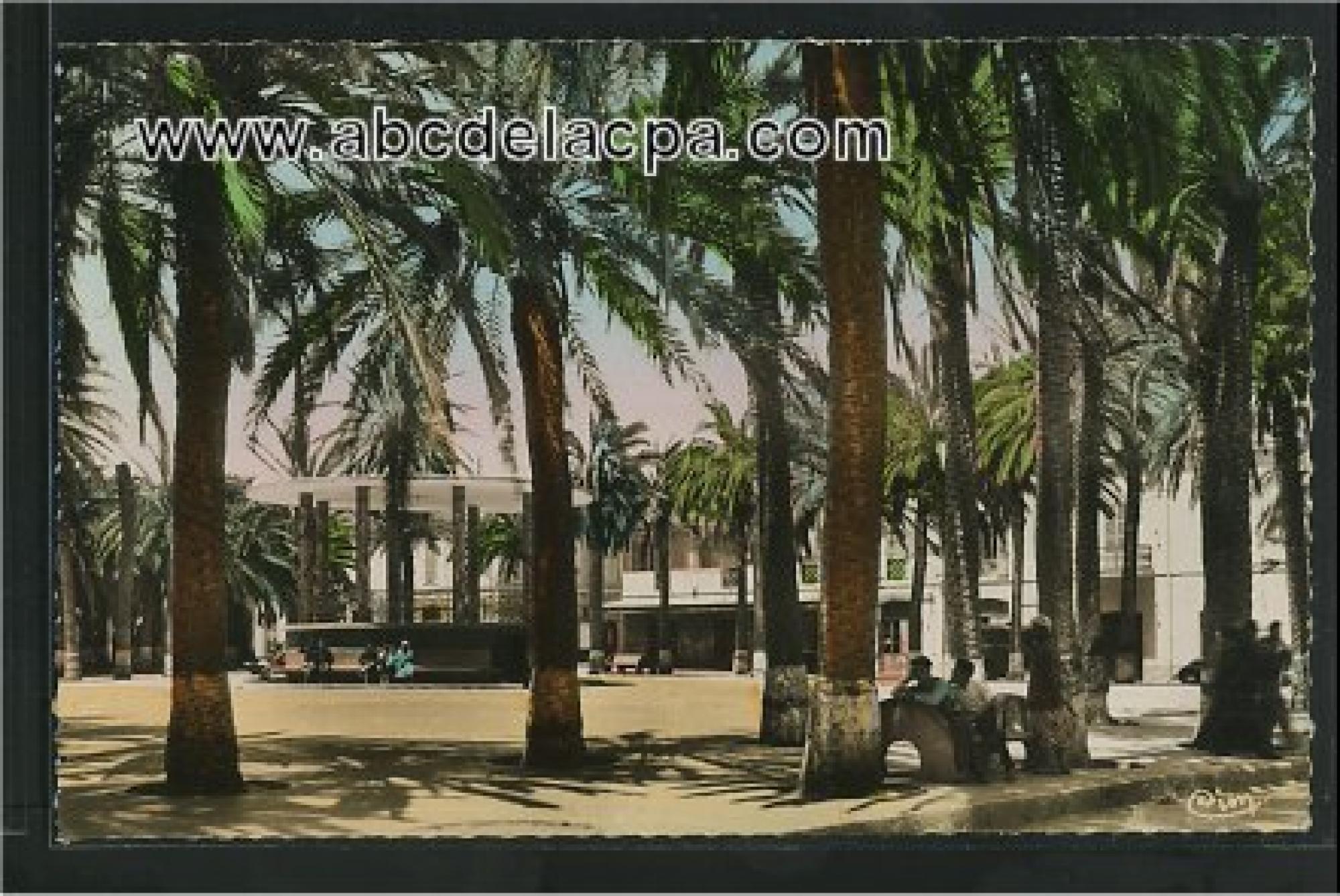 Arzew  - La Place d'Isly et ses palmiers