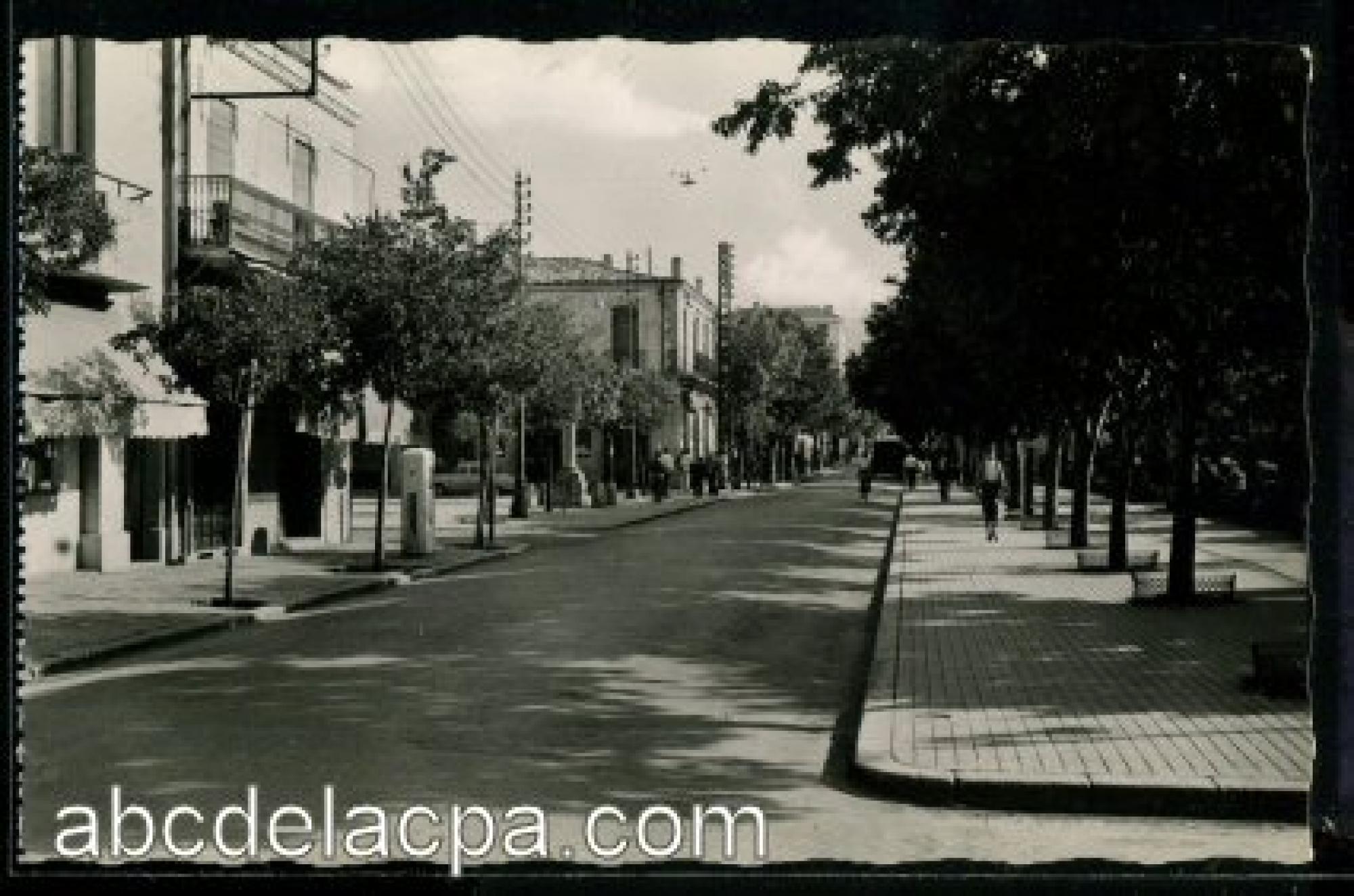 Aumale (Sour el   Ghozlane)  - La rue principale