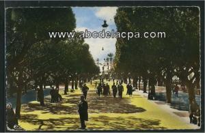 Bône - Rues  - le cours bertagna