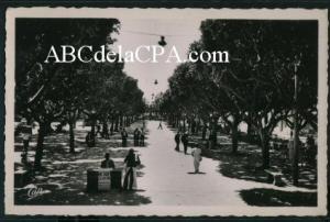 Bône - Rues  - le cours bertagna