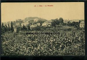 Bône -      Vues générales  - la menadia