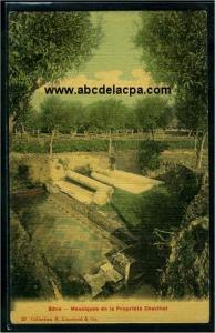 Bône -      Divers  - mosaïques de la propriété chevillot