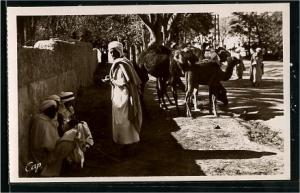 Bou Saada  - bou saada - marchand de chameaux