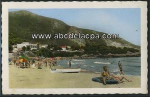 Chenoua Plage  - la plage et le cap