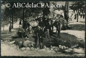 Chréa (La)  - contraste