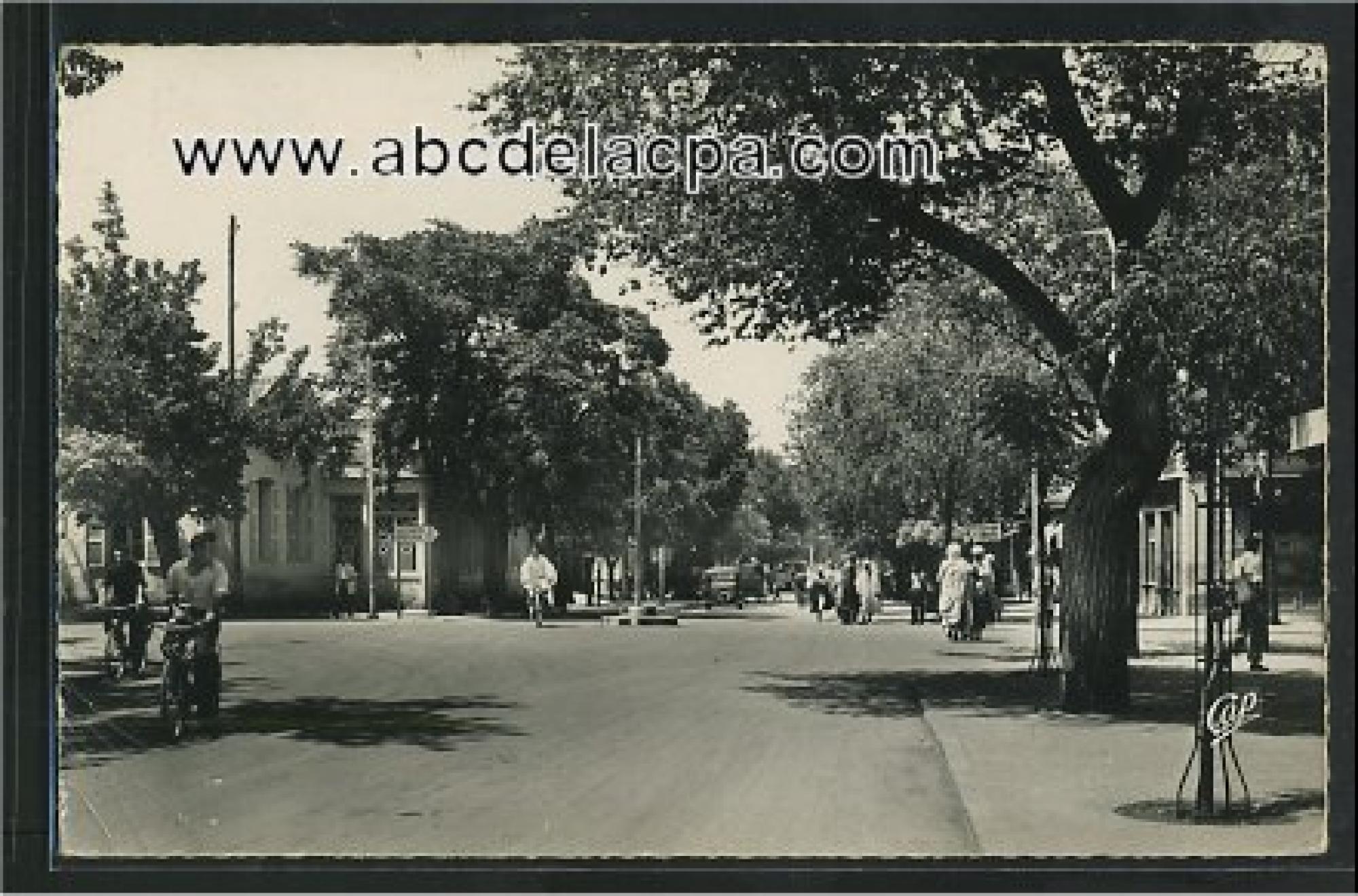 Batna  - l'avenue de france