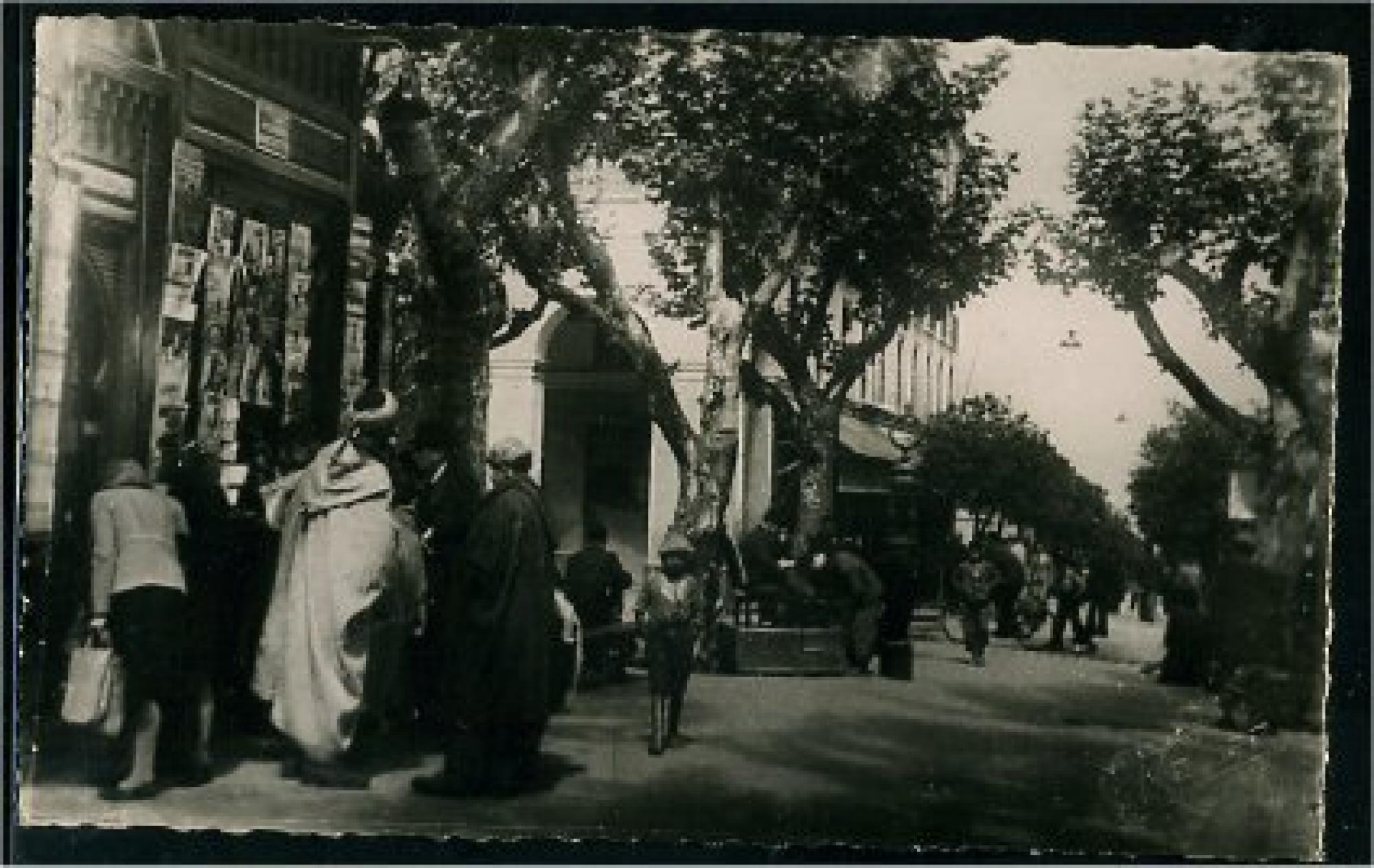 Blida - Rues  - le kiosque de la place d'armes