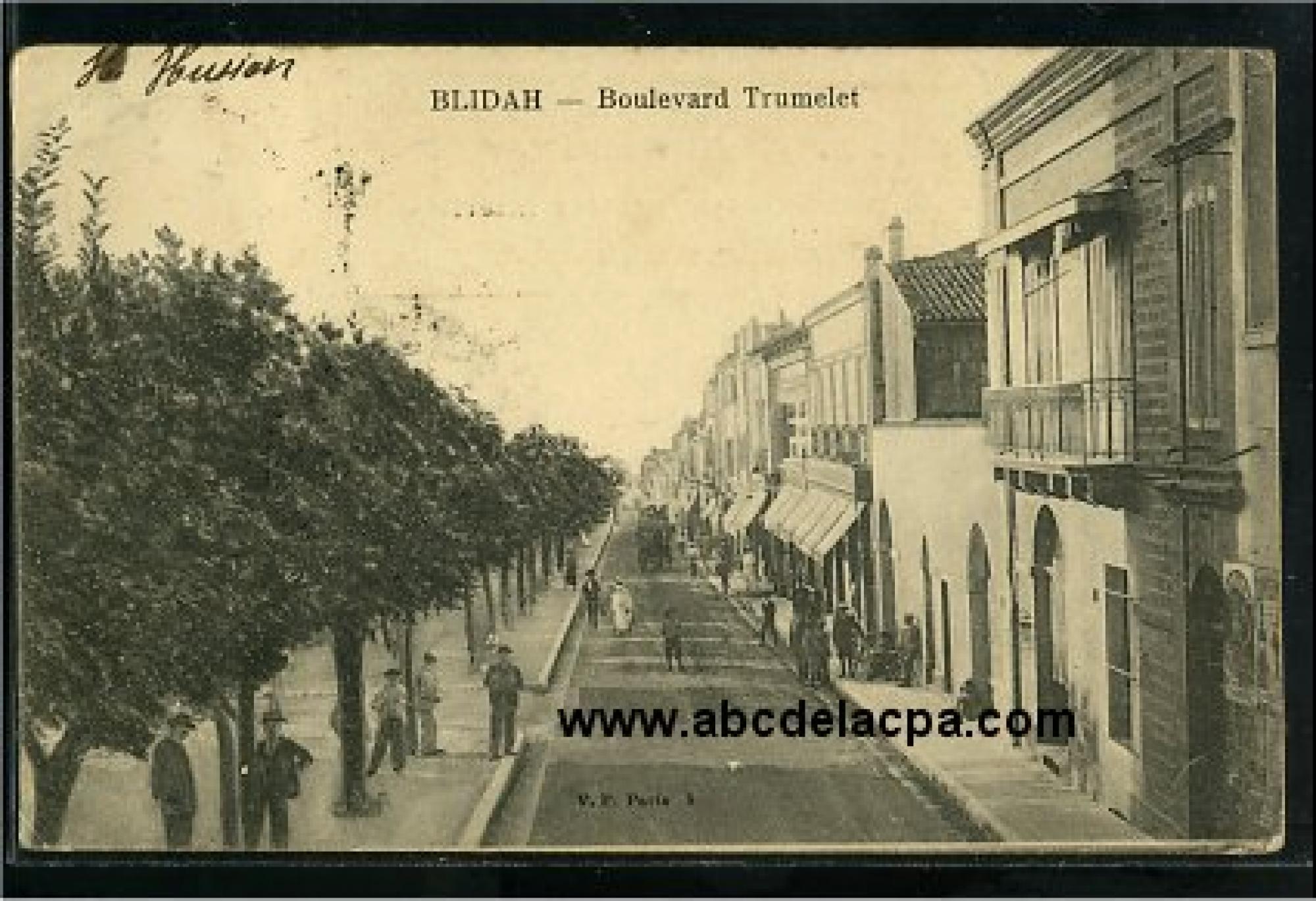 Blida - Rues  - boulevard trumelet