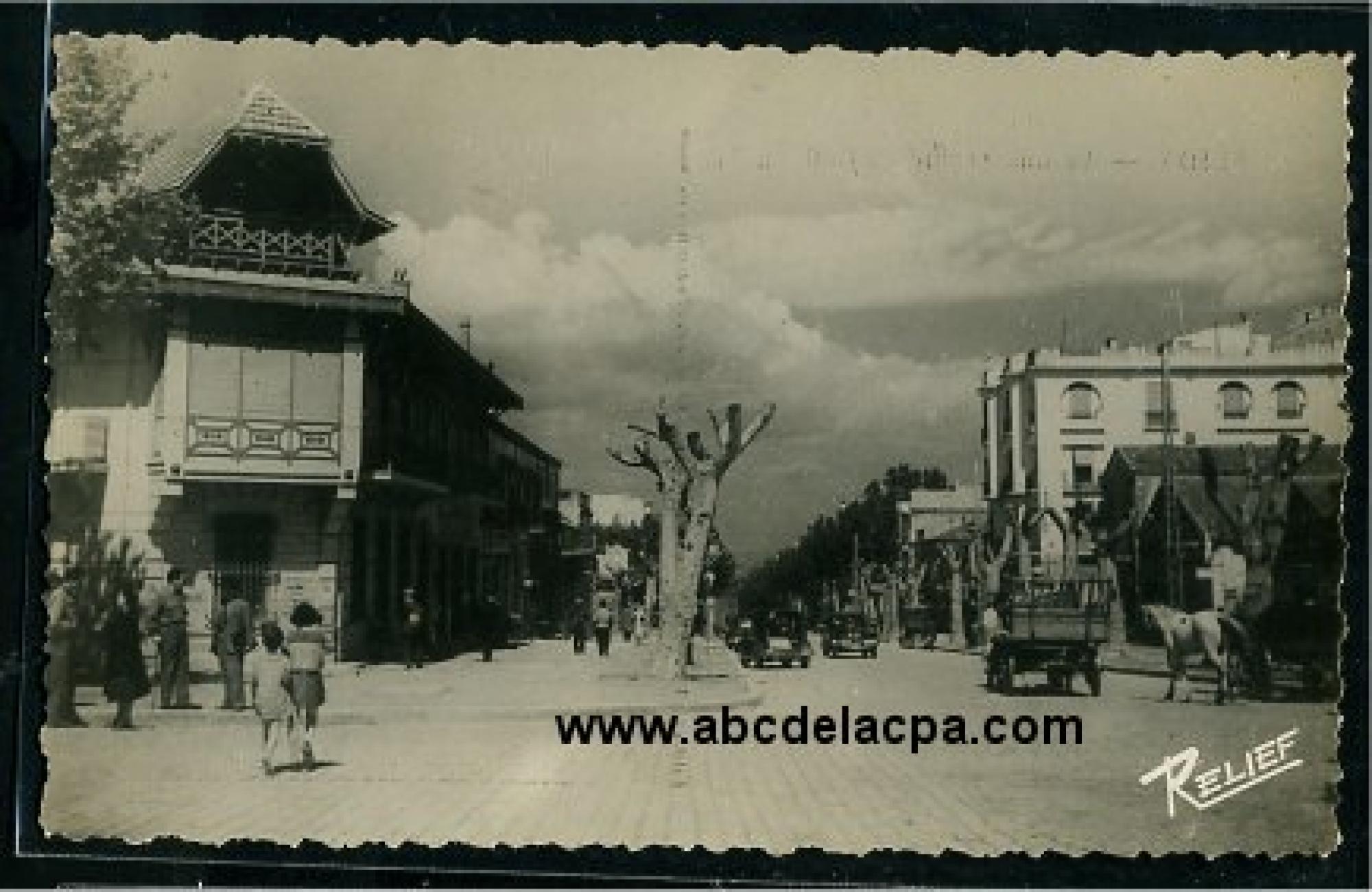 Blida - Rues  - avenue amand le goff